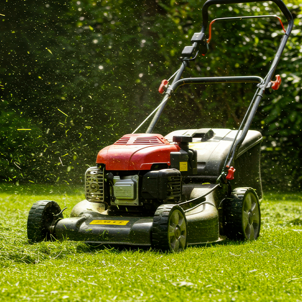 Peuton démarrer un tracteur tondeuse en poussant — free download